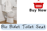 Disabled Toilet With Bio Bidet Toilet Seat 
